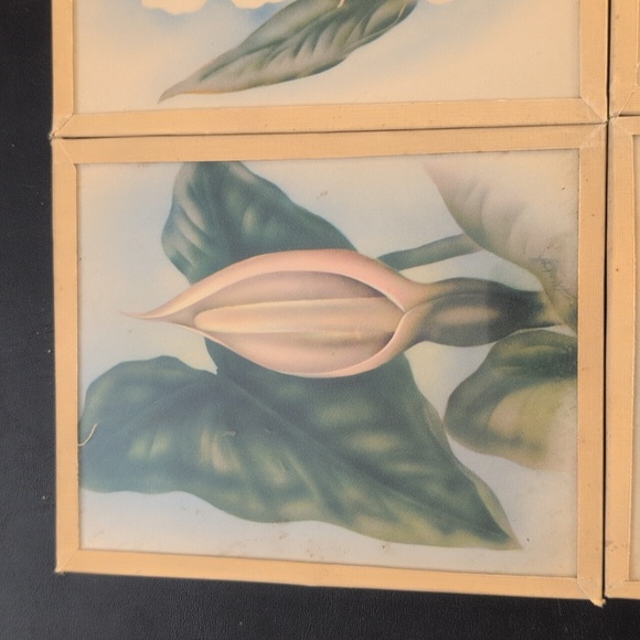 Vintage Floral Art Prints Set of 8 - Picture 2 of 10